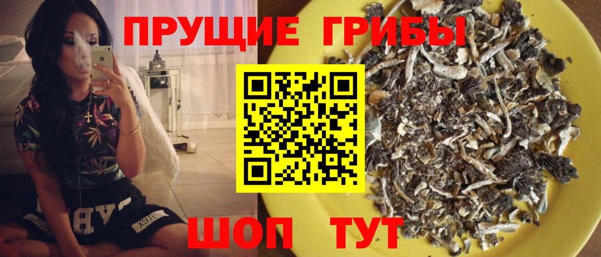 Псилоцибиновые грибы мицелий Гудермес