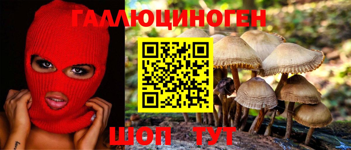 Галлюциногенные грибы ЛСД  Псилоцибиновые грибы Cubensis  Гудермес  Вход с VPN 